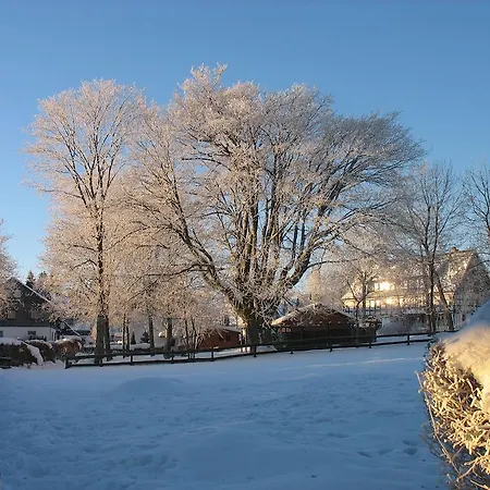 Apartment Landgasthof Gilsbach *