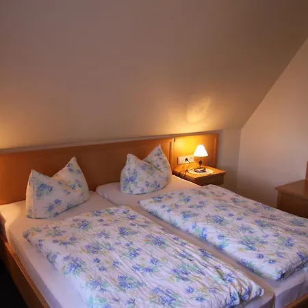 Landgasthof Gilsbach Apartment Winterberg